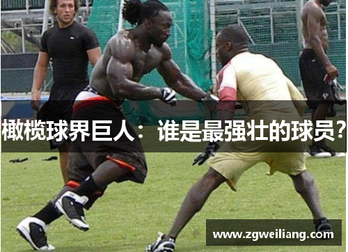 橄榄球界巨人:谁是最强壮的球员? 橄榄球界巨人:谁是最强壮的球员?