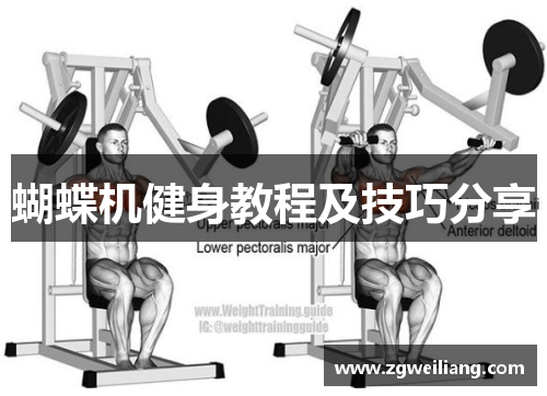蝴蝶机健身教程及技巧分享 蝴蝶机健身教程及技巧分享