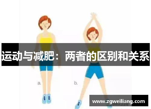 运动与减肥:两者的区别和关系 运动与减肥:两者的区别和关系