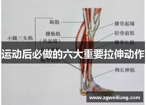运动后必做的六大重要拉伸动作 运动后必做的六大重要拉伸动作