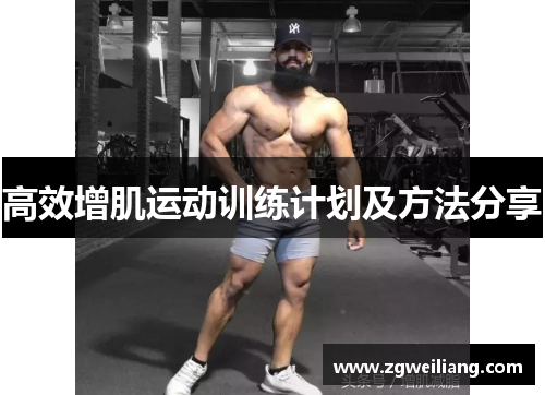 高效增肌运动训练计划及方法分享 高效增肌运动训练计划及方法分享