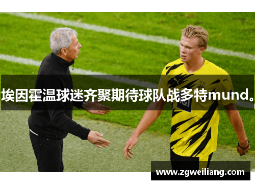 埃因霍温球迷齐聚期待球队战多特mund。 埃因霍温球迷齐聚期待球队战多特mund。