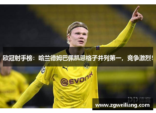 欧冠射手榜:哈兰德姆巴佩凯恩格子并列第一,竞争激烈! 欧冠射手榜:哈兰德姆巴佩凯恩格子并列第一,竞争激烈!